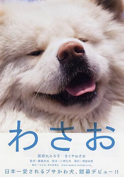 秋田犬蓬夫