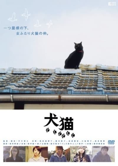 Dogs & Cats