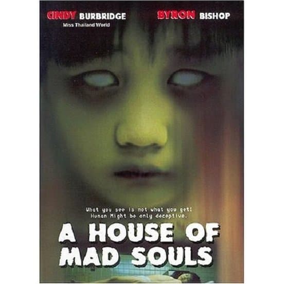A House of Mad Souls