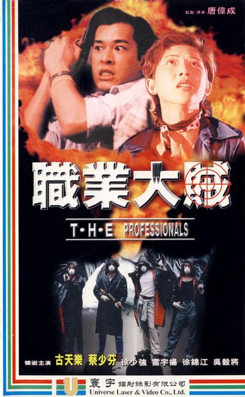 职业大贼
