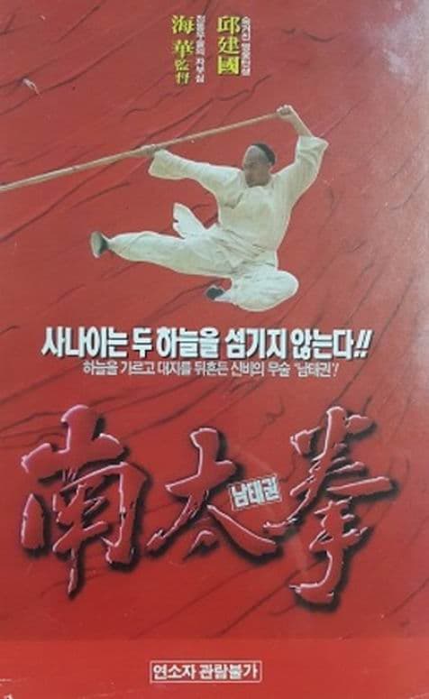 南拳王
