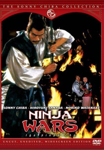 The Ninja Wars