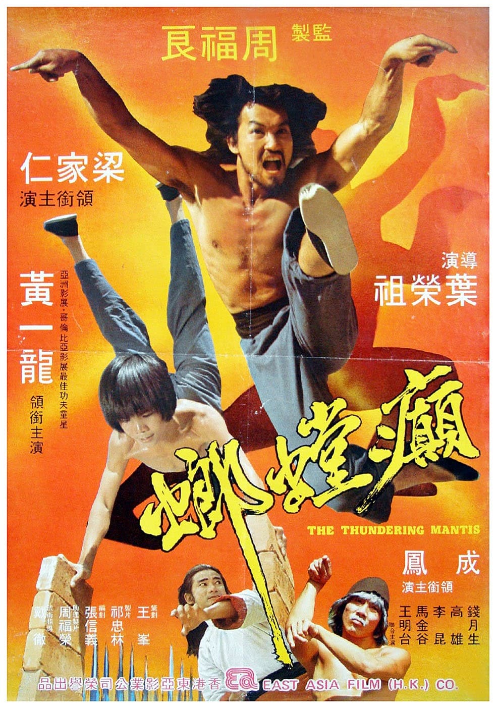 Mantis Fist Fighter