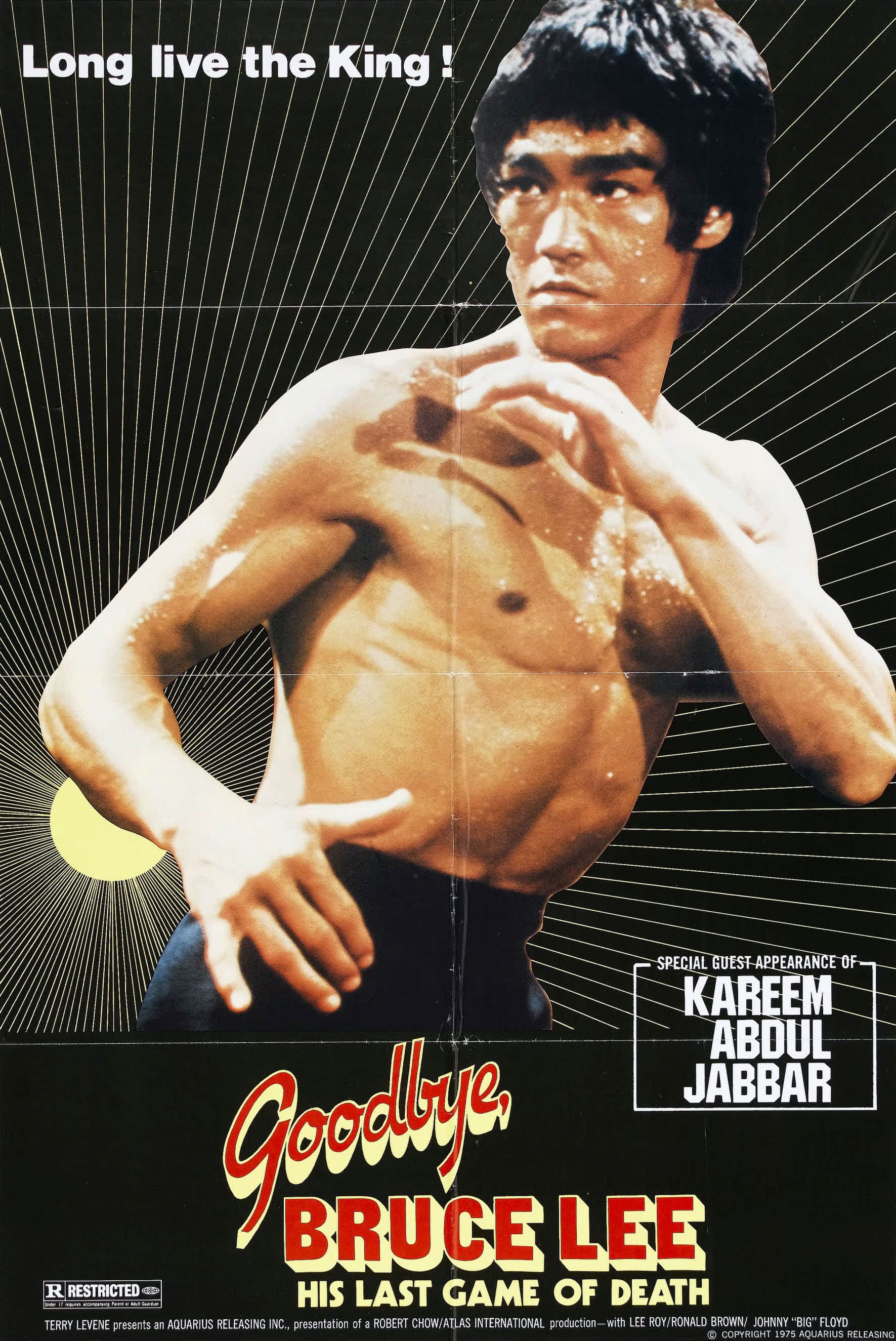 Goodbye Bruce Lee: His Last Game of Death