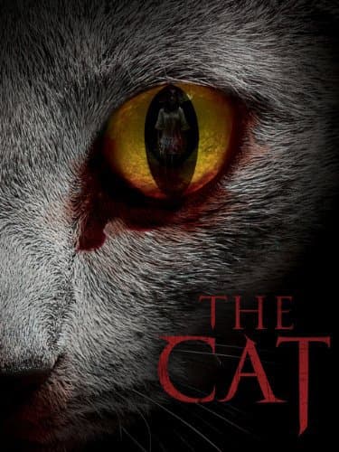 The Cat