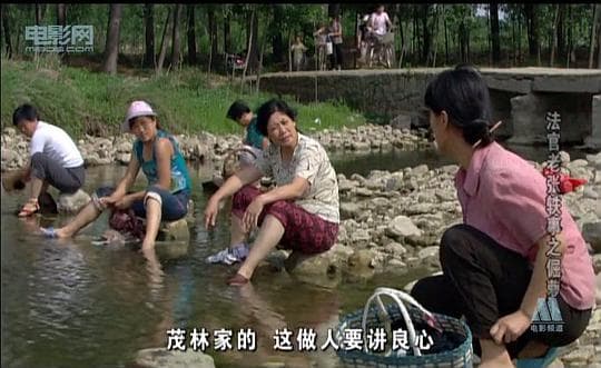 法官老张轶事之倔萝卜