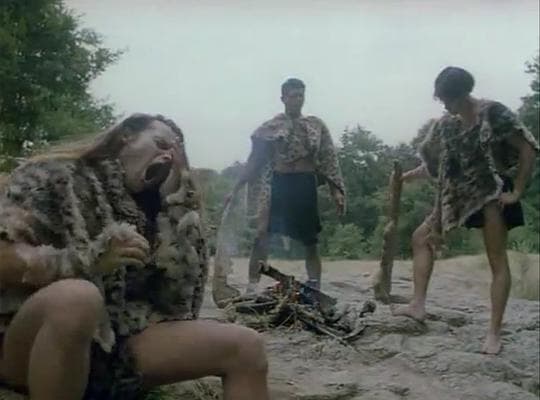 Homo Erectus