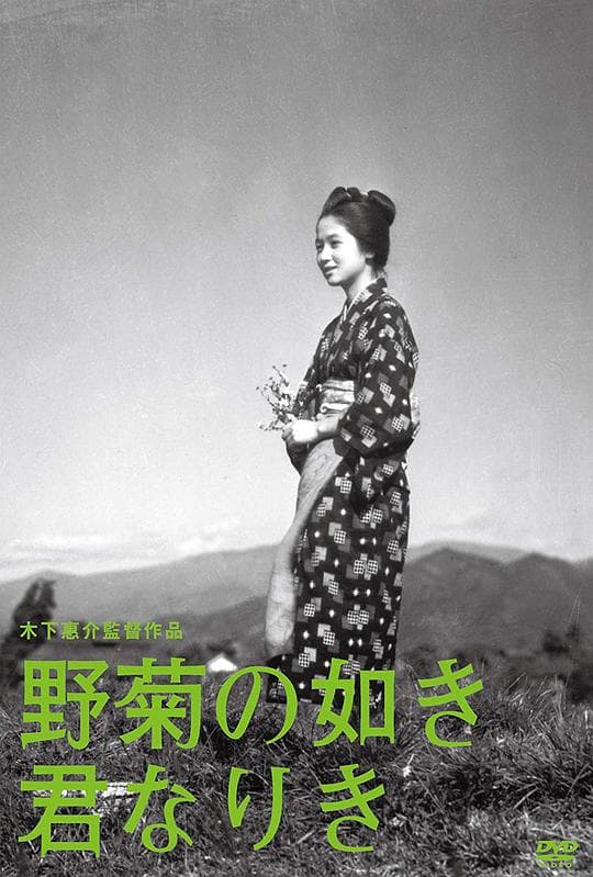 野菊之墓