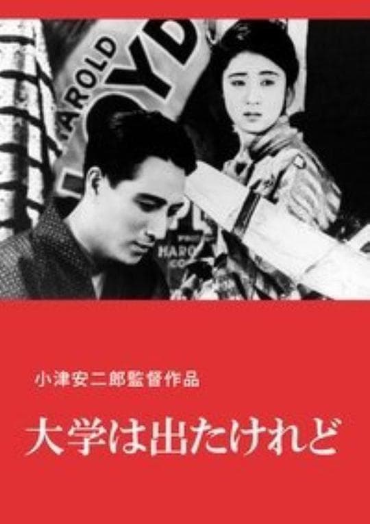 我毕业了，但……