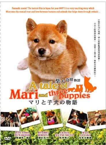 Mari to koinu no monogatari