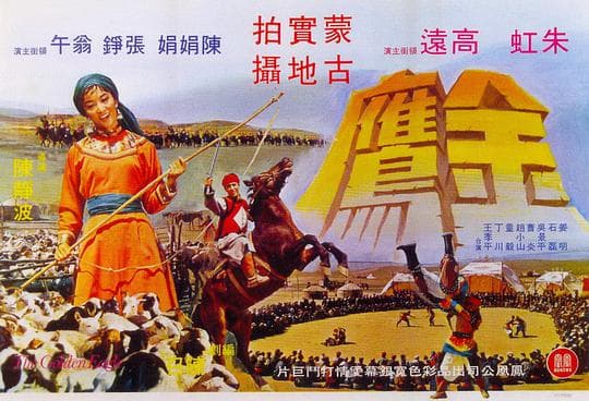 金鹰