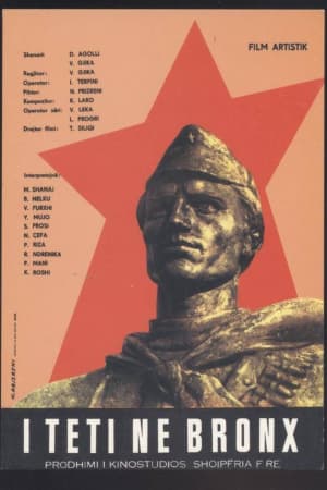 I teti në bronz