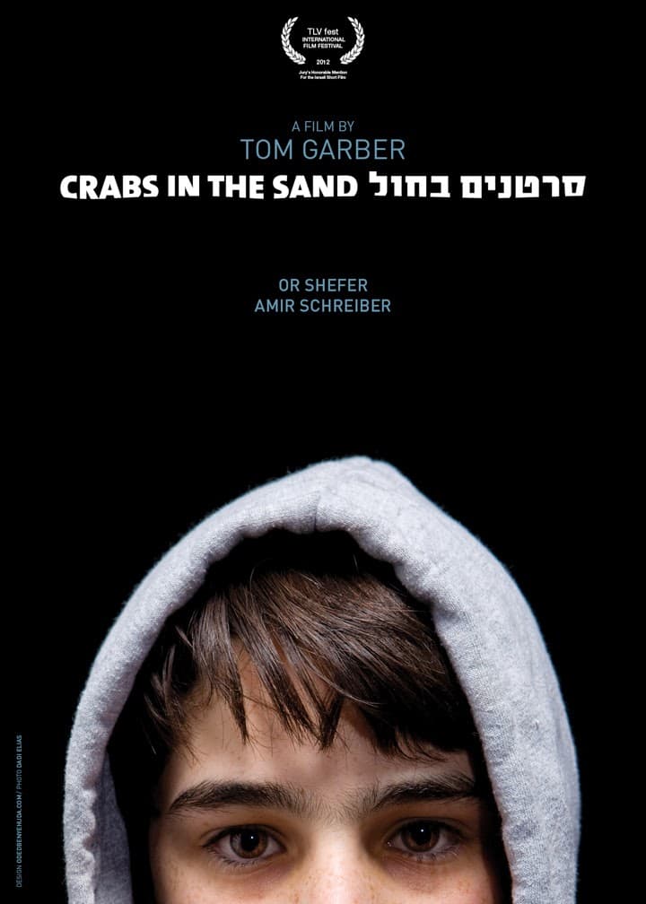 Crabs in the Sand