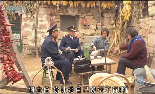 法官老张轶事之审牛记