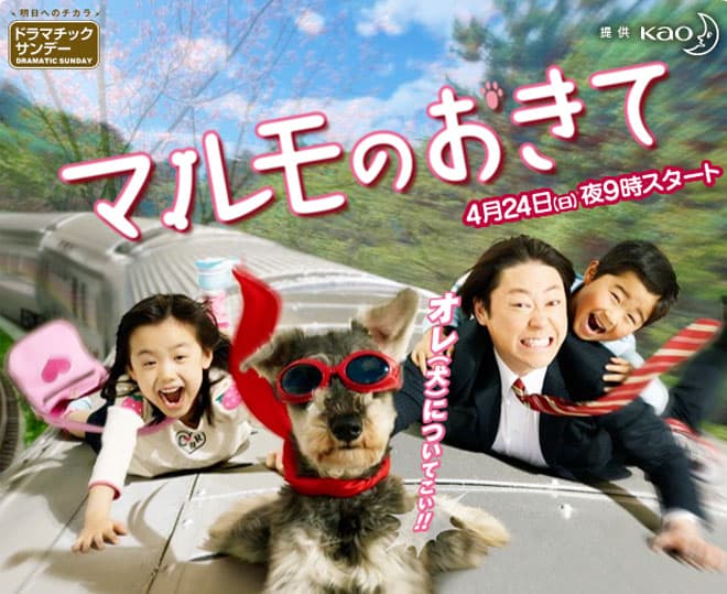 Marumo no Okite: Special