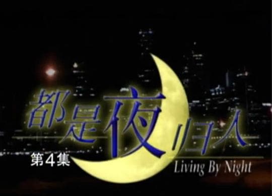都是夜归人