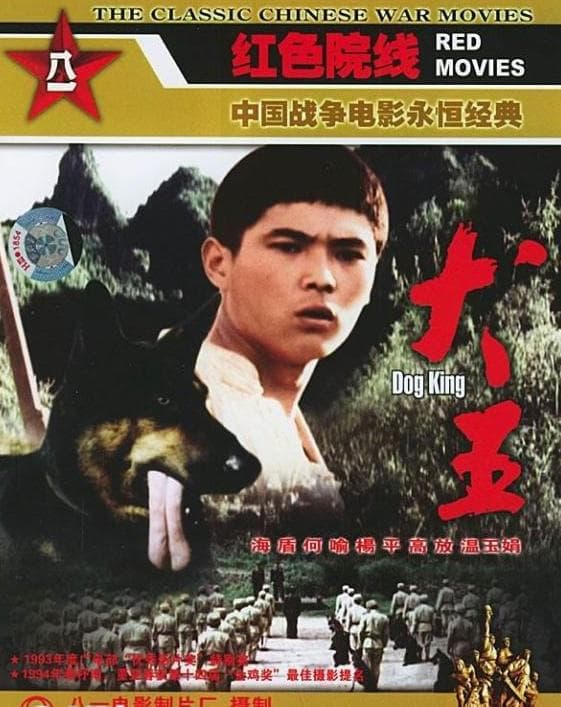Quan wang