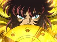 集結！黄金聖衣