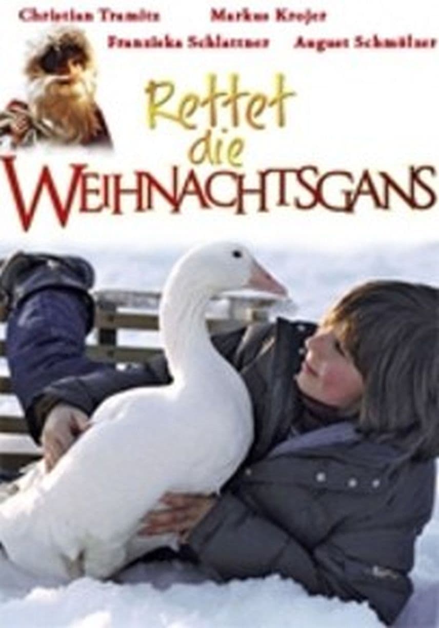Saving the Christmas Goose