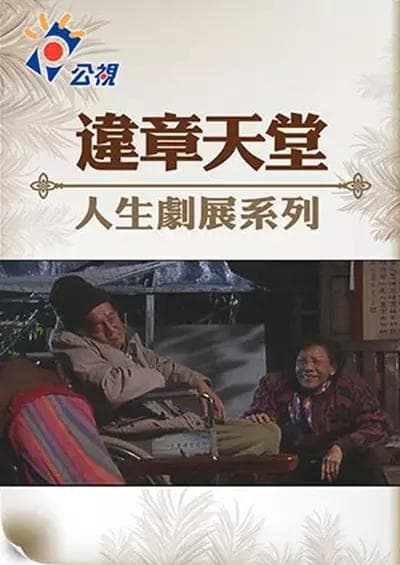 违章天堂