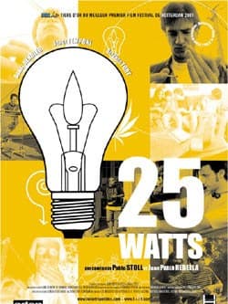 25瓦