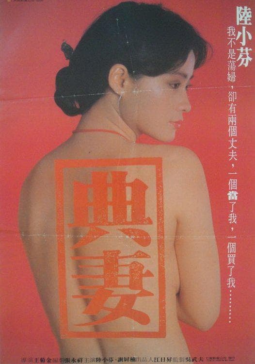 Dian qi