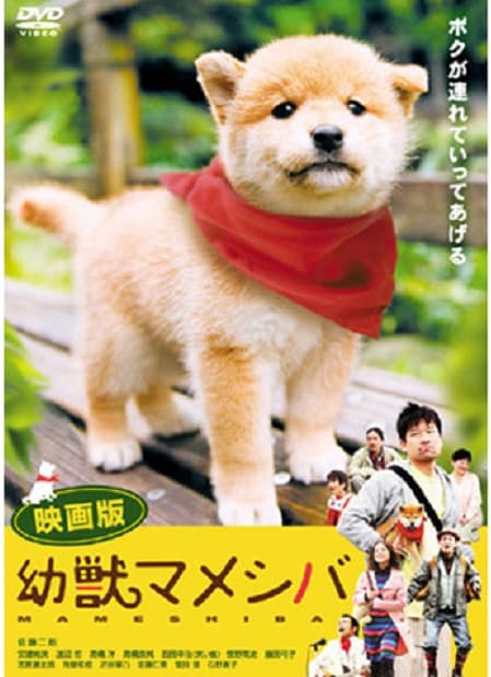 Yôjû mameshiba