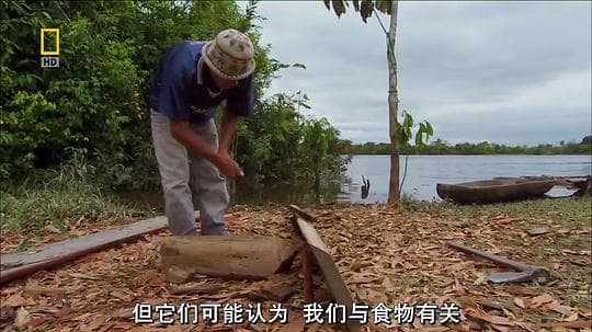 世界致命动物系列：亚马逊河篇