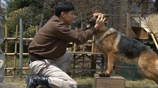 导盲犬诞生物语