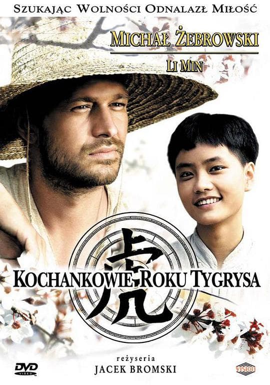 虎年之恋