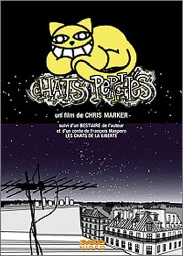 The Case of the Grinning Cat