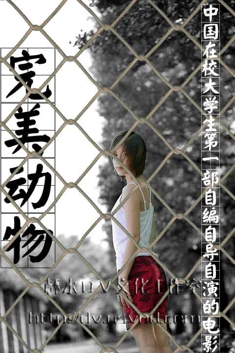 完美动物