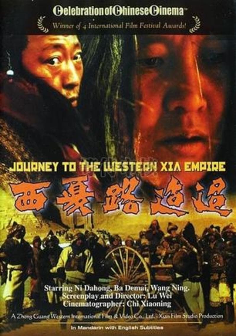 Journey to Western Xia Empire