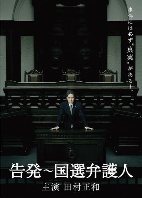告发～国选辩护人