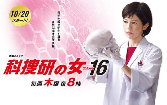 科搜研之女 第16季