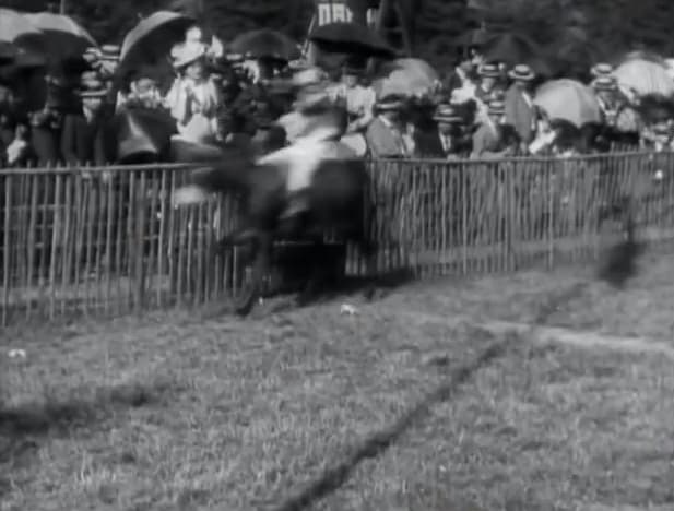 Courses d'ânes: II, la course