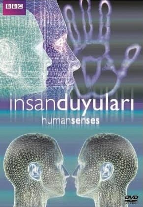 Human Senses