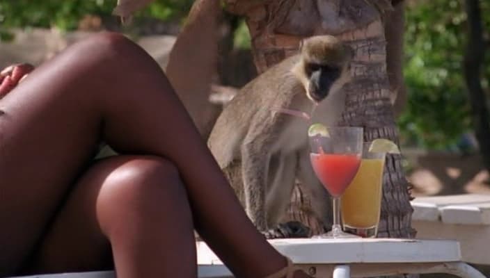 Do I Drink Too Much?