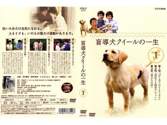 导盲犬小Q之一生
