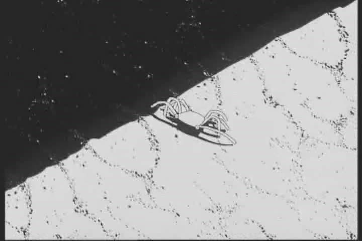 小螃蟹大革命