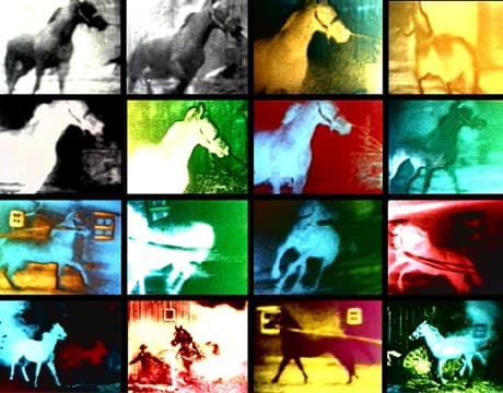 Berlin Horse