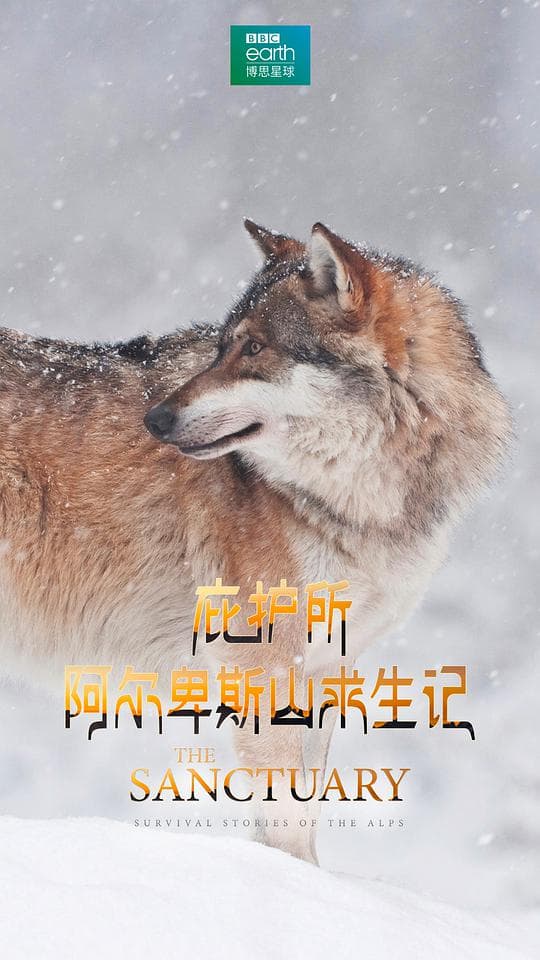 庇护所：阿尔卑斯山求生记