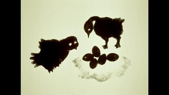 娶了鹅的猫头鹰