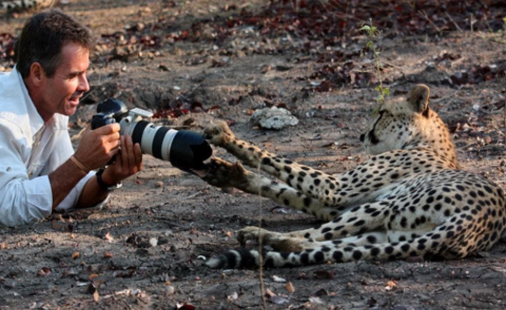 Man, Cheetah, Wild