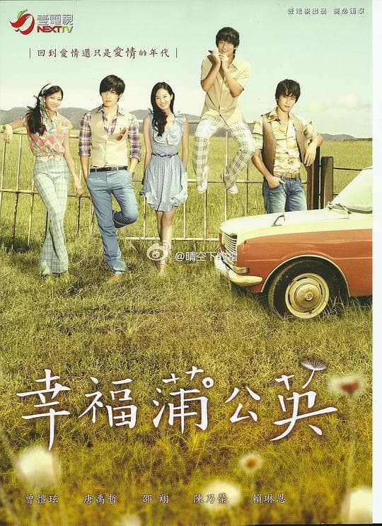 幸福蒲公英