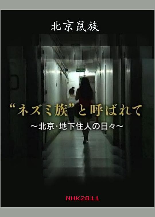 北京鼠族