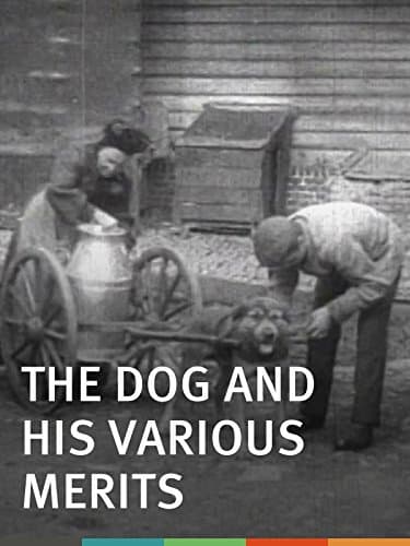 The Dog and His Various Merits