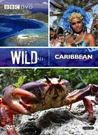 Wild Caribbean