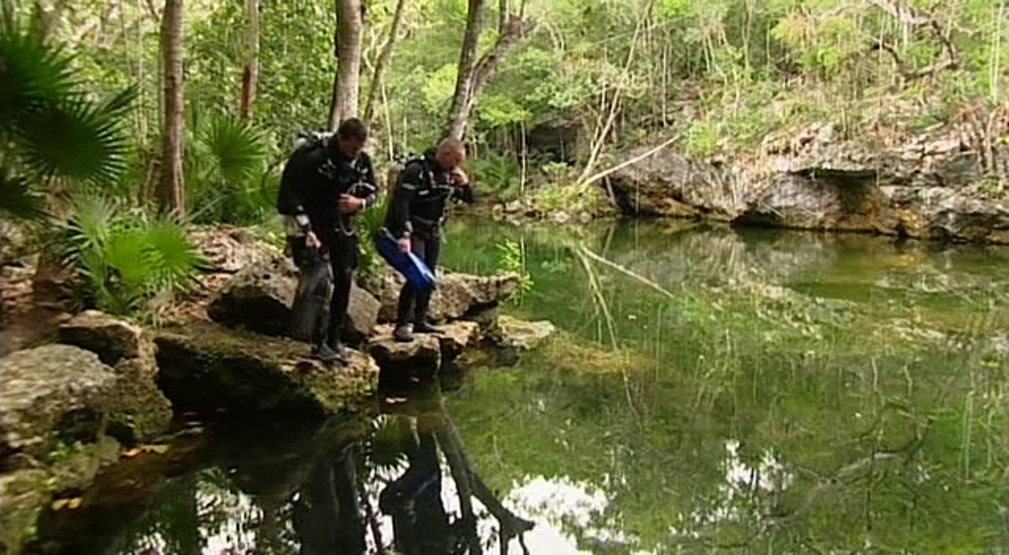Natural World Season 23