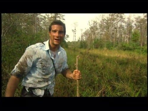Everglades